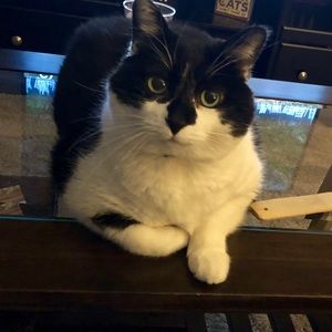 Meet your Posher, Amanda